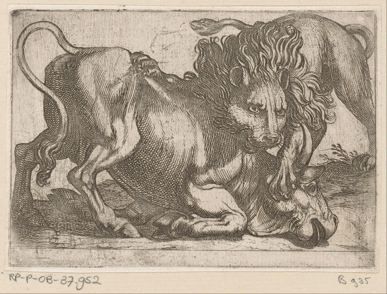 A Lion Attacking a Bull by Antonio Tempesta