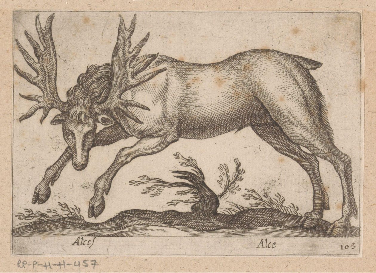 Elk by Antonio Tempesta