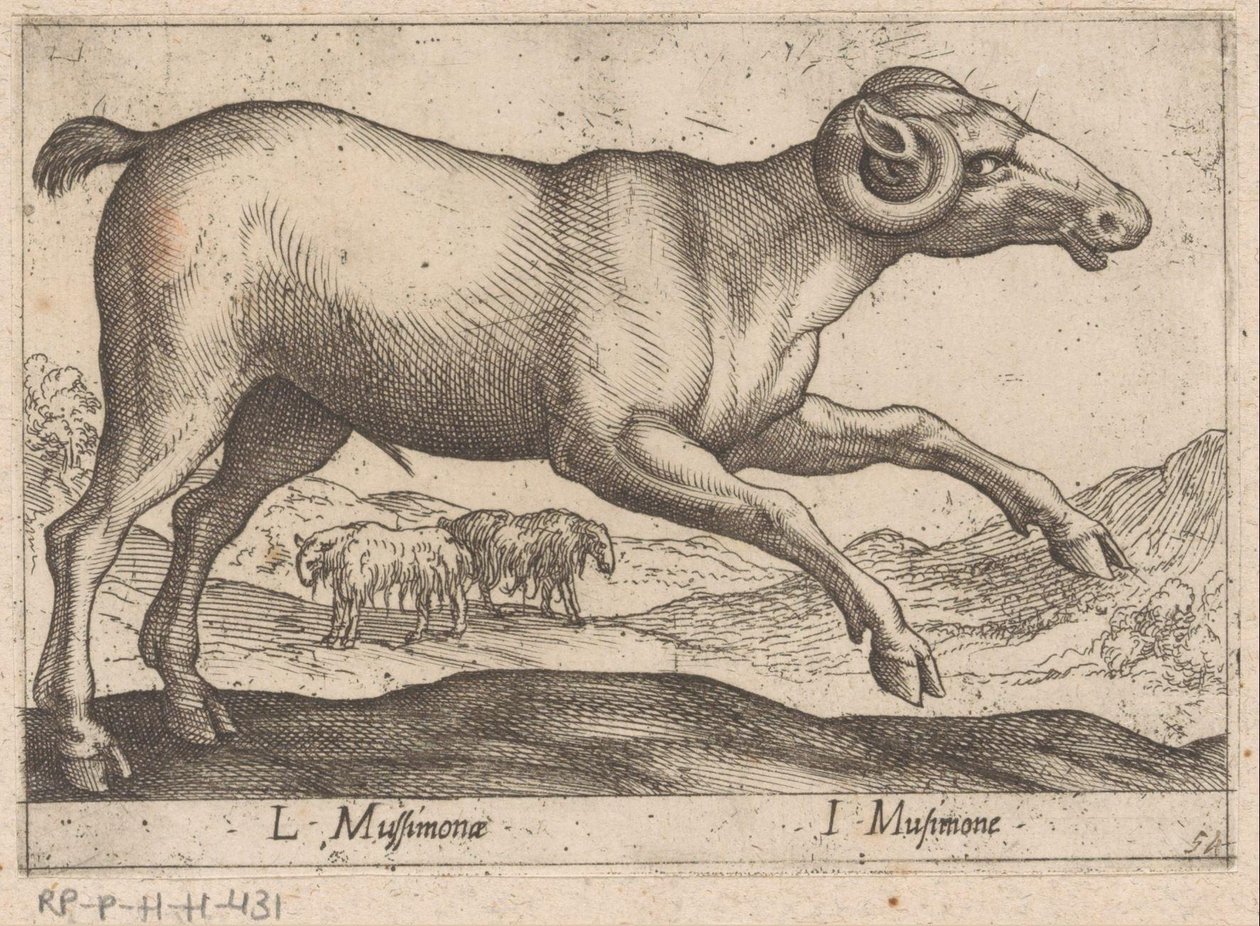 Goat-like Creature (Animals and Mythical Creatures / Nova raccolta de li animali piu curiosi del mondo) by Antonio Tempesta