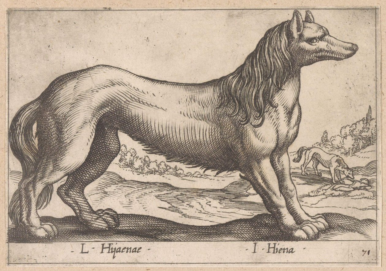Hyena by Antonio Tempesta