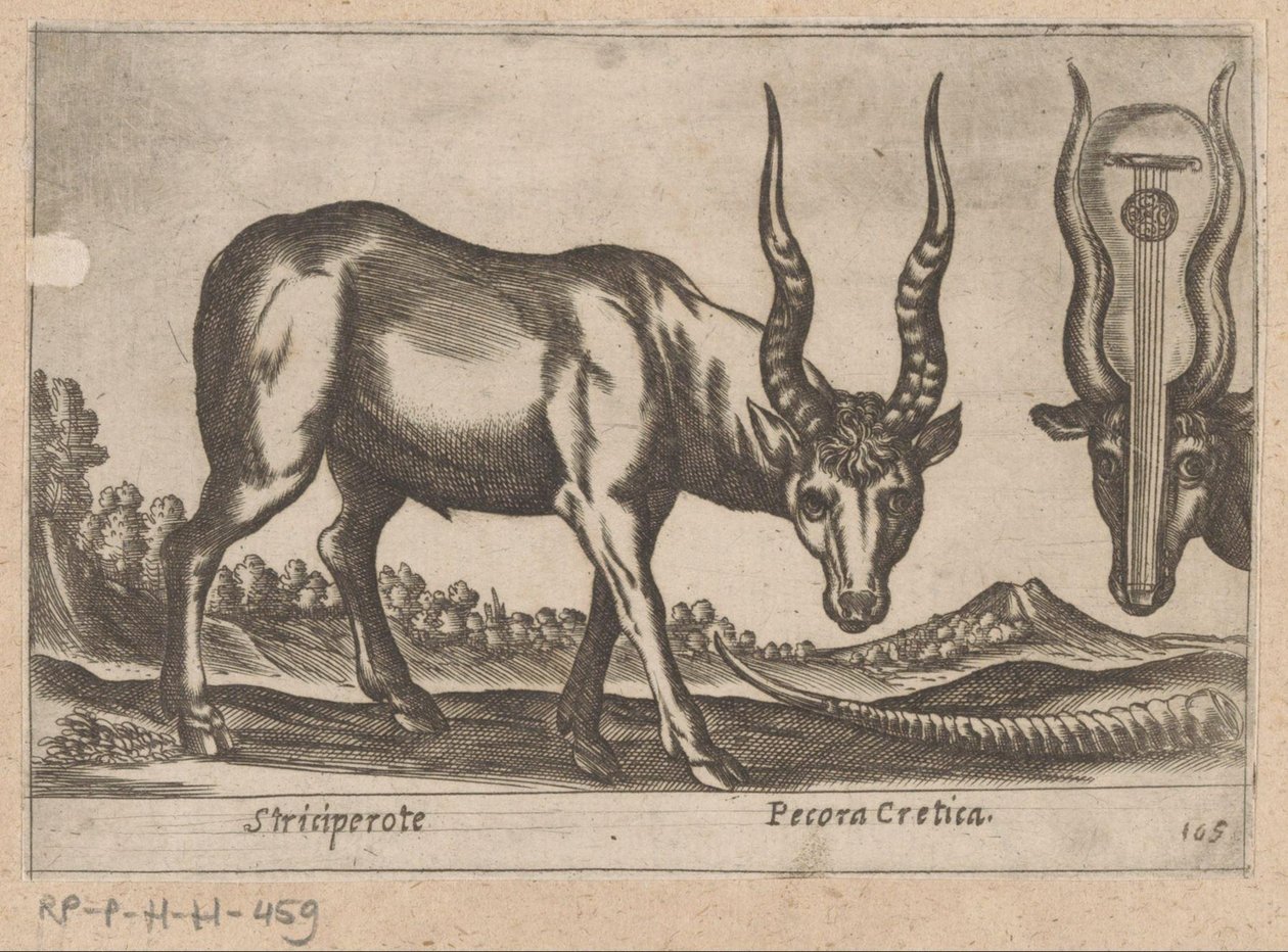 Two Antelopes by Antonio Tempesta