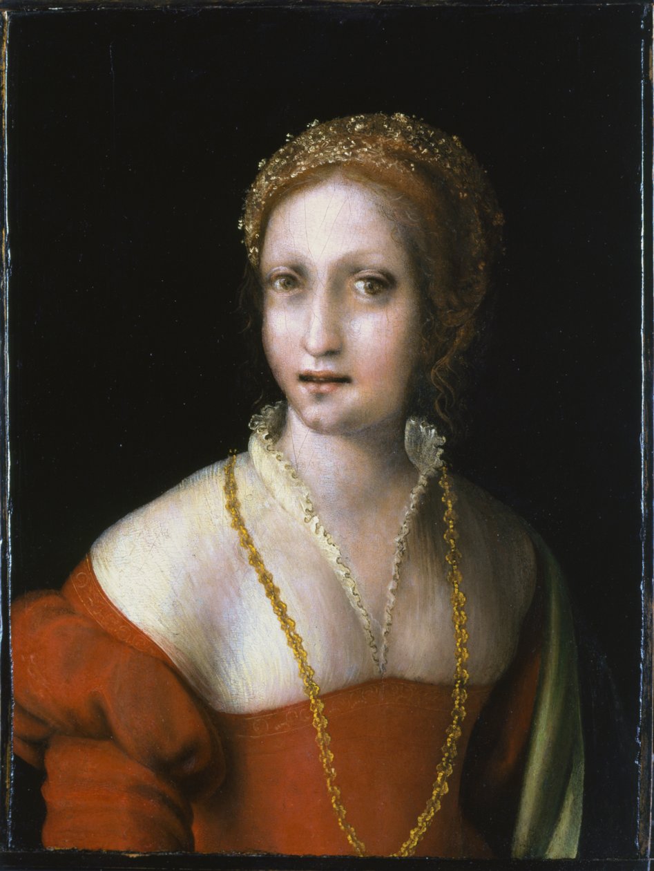 Portrait of a Young Girl by Antonio da Correggio