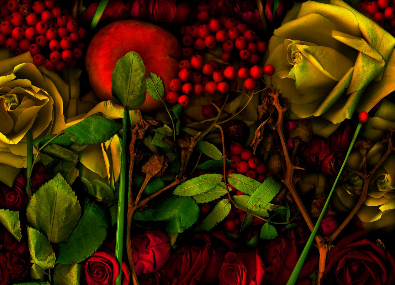 Magic Garden No.36, 2011 by Antonius Antonius