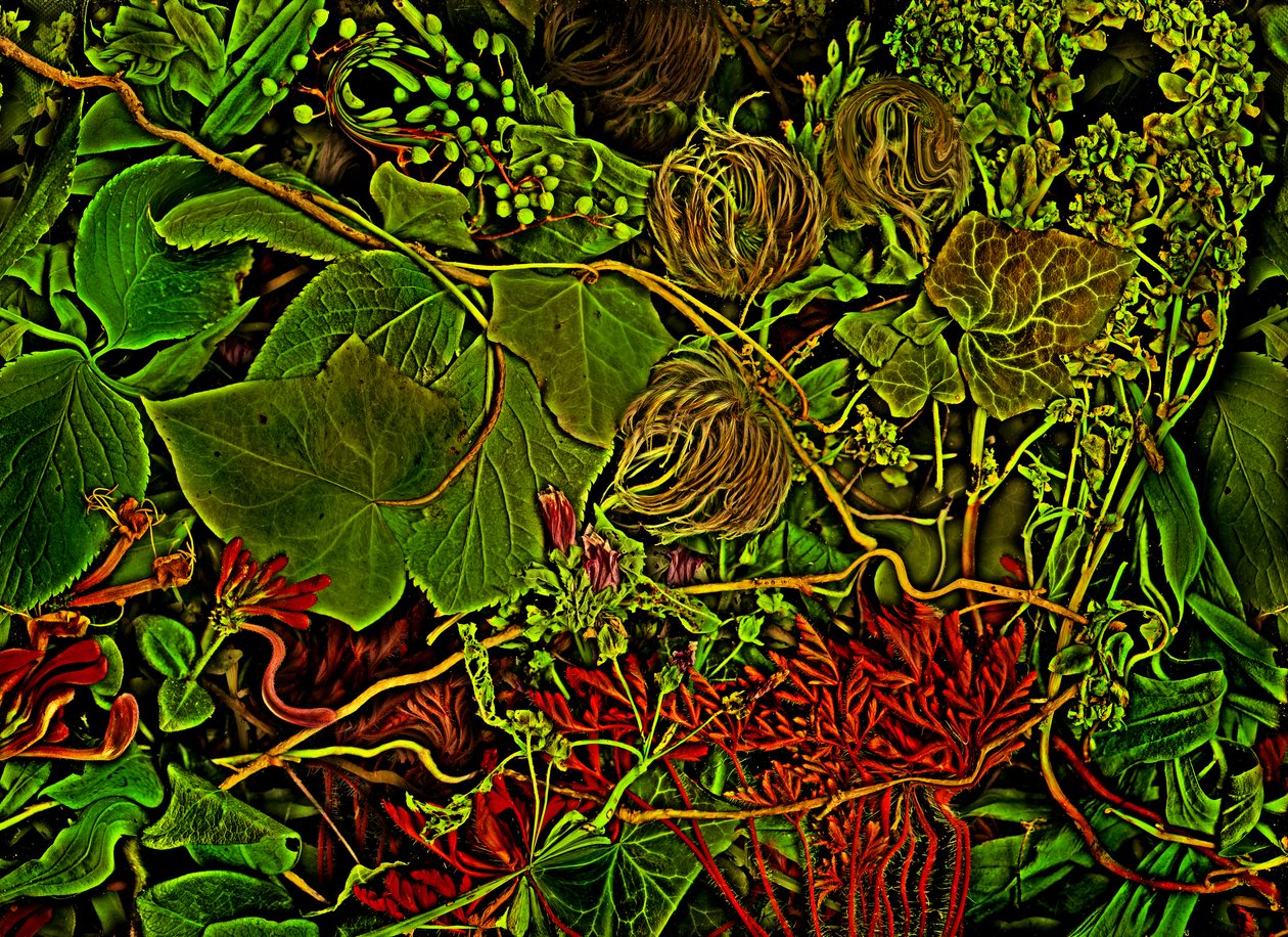 Otherworld - The Field, 2025 by Antonius Antonius