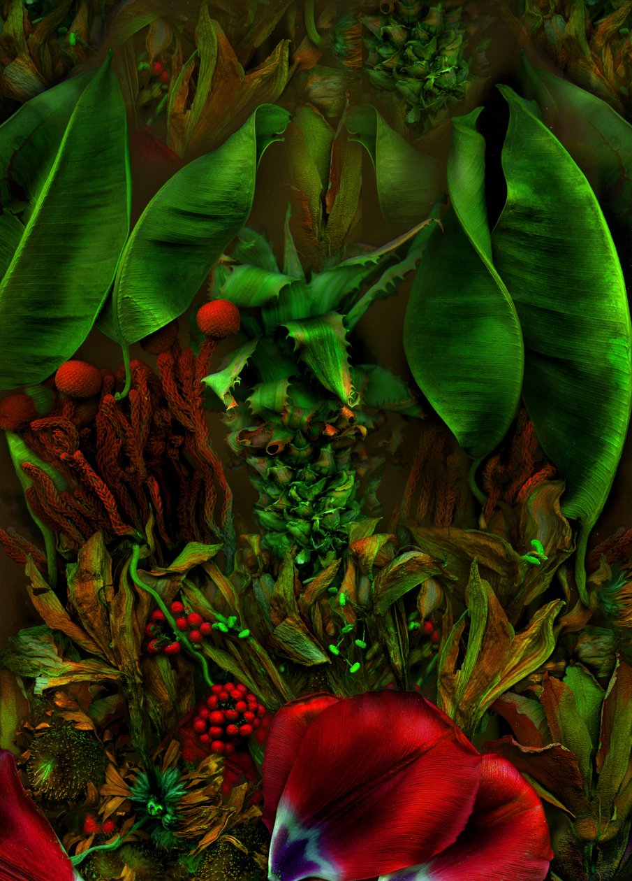 Anderswelt No.22-2, 2025 by Antonius Antonius