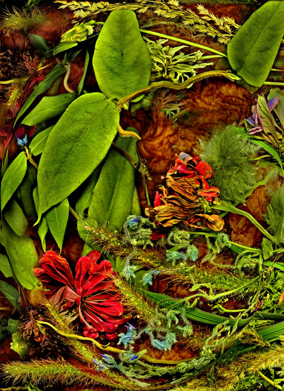 Anderswelten No.2, 2025 by Antonius Antonius