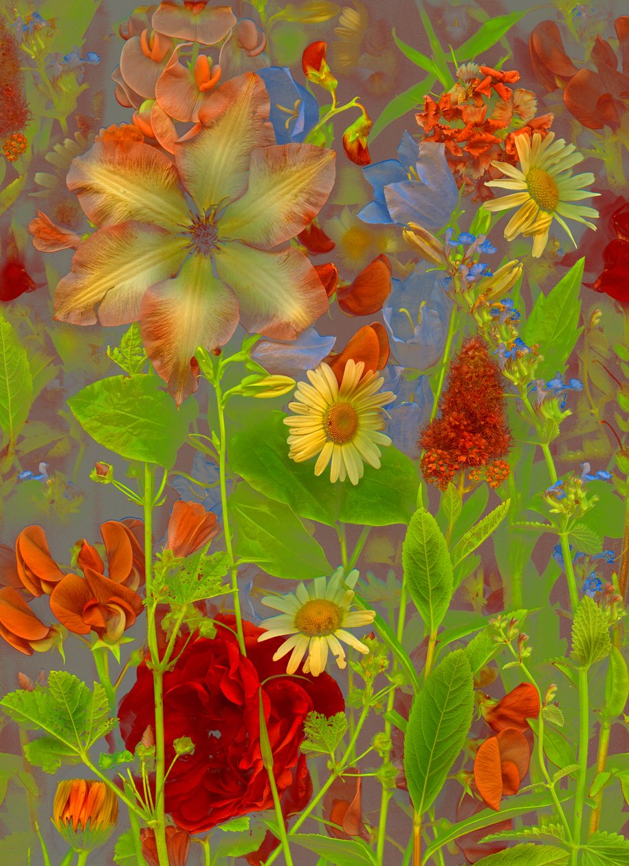 Artfloral No.5 Springtime Talk, 2016 by Antonius Antonius