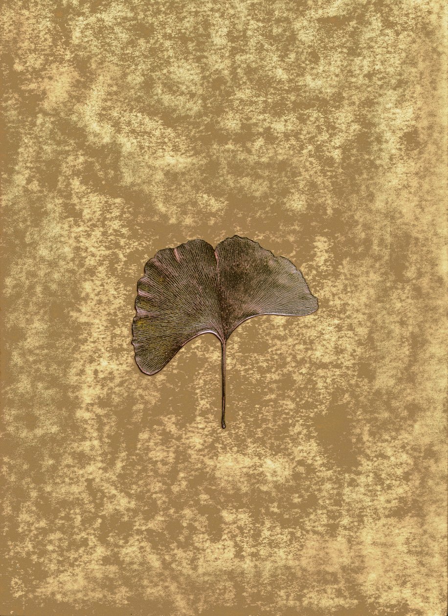 Ginkgo 3 by Antonius Antonius