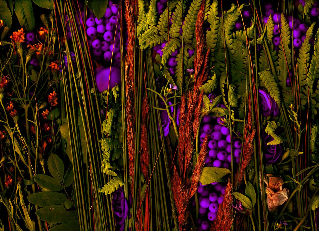 Magic Garden No.39-3, 2019 by Antonius Antonius