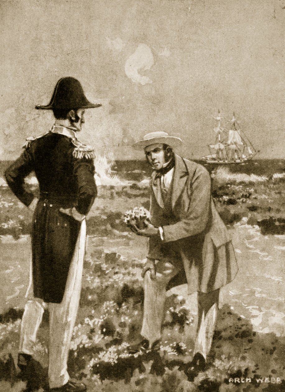 Darwin finds an interesting specimen by Archibald Webb
