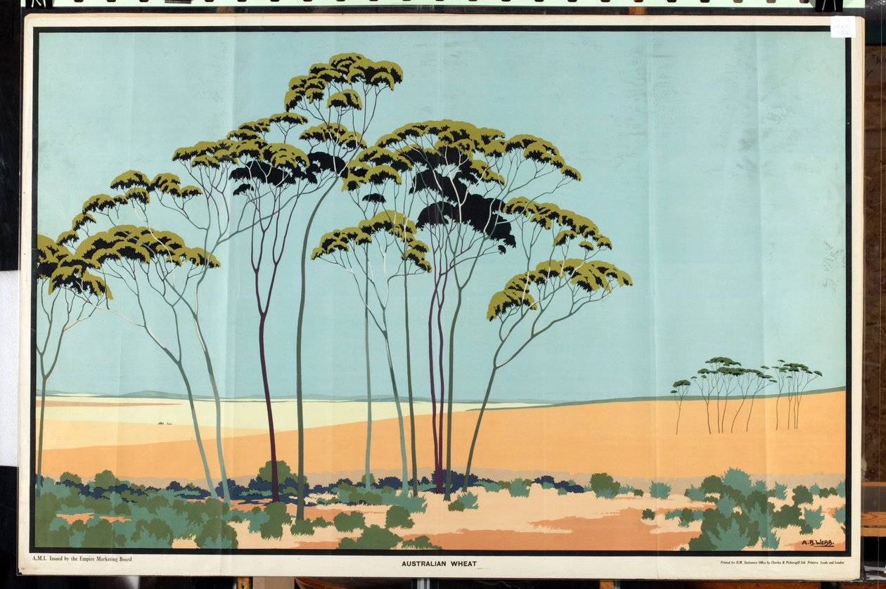 Australian Wheat, from the series 