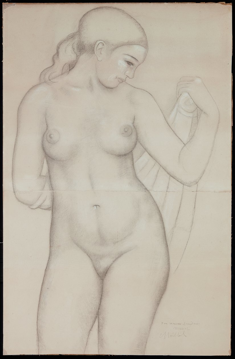 Dina from the front, study for 