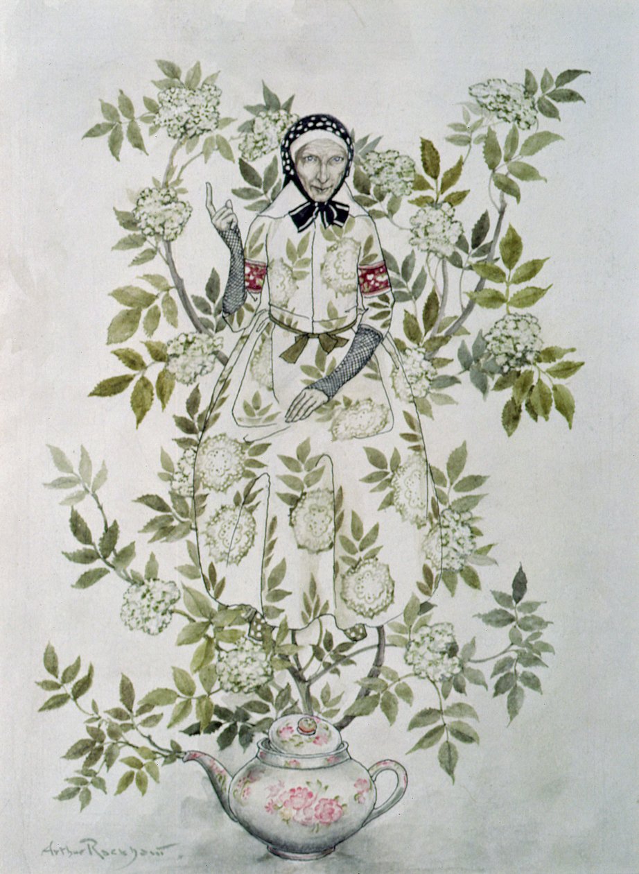 In the Midst of a Tree sat a Kindly-Looking Old Woman by Arthur Rackham