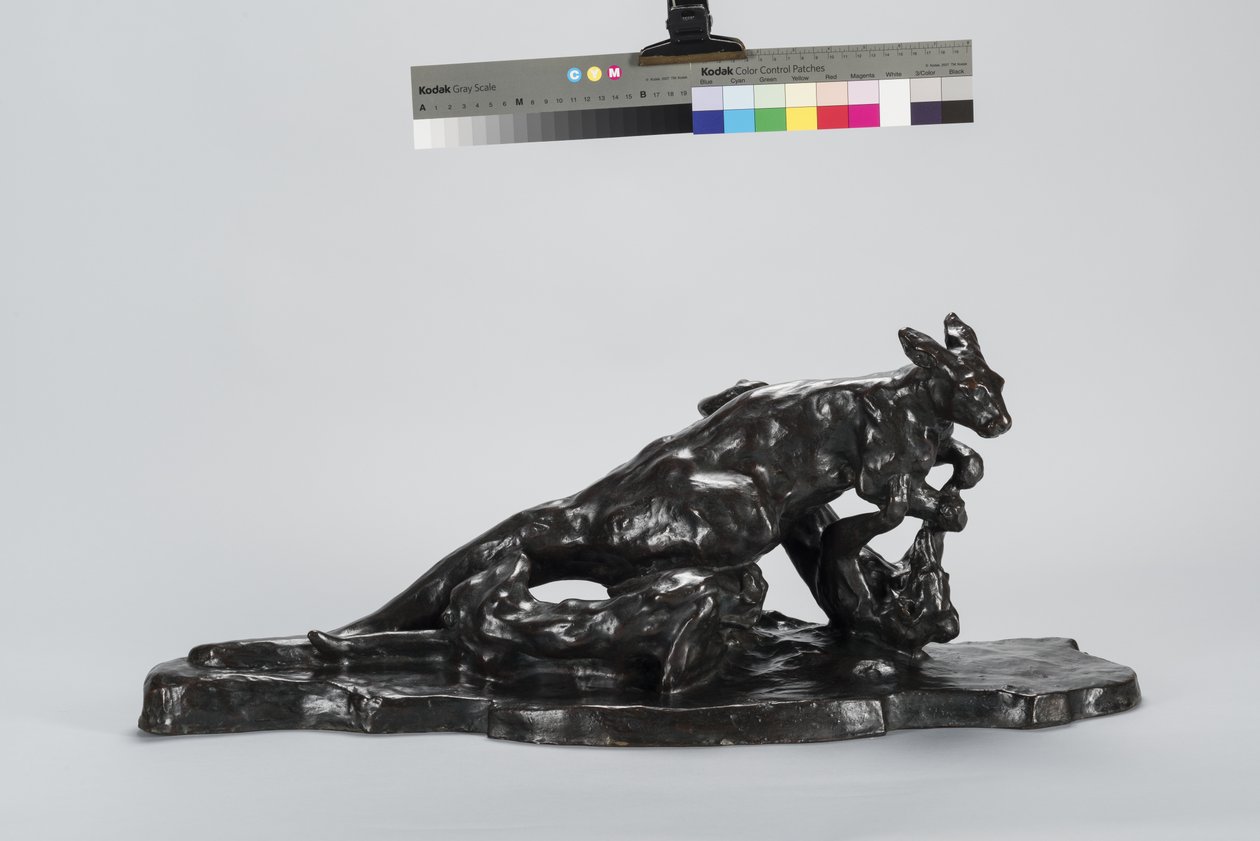 Kangaroo and Dog by Arthur Putnam