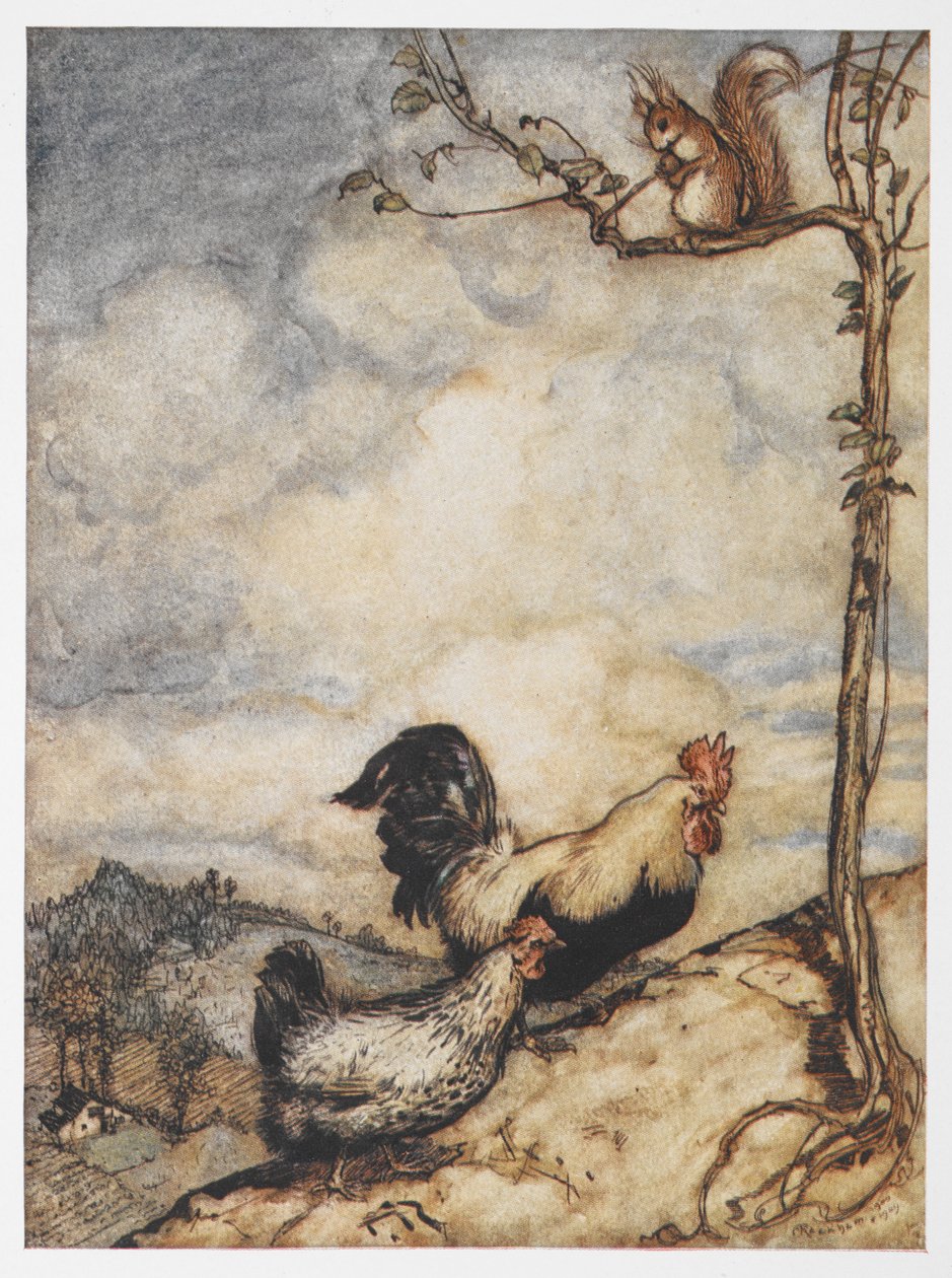 An illustration of a hen, cockerel and squirrel from The Adventures of Chanticleer and Partlet by Arthur Rackham