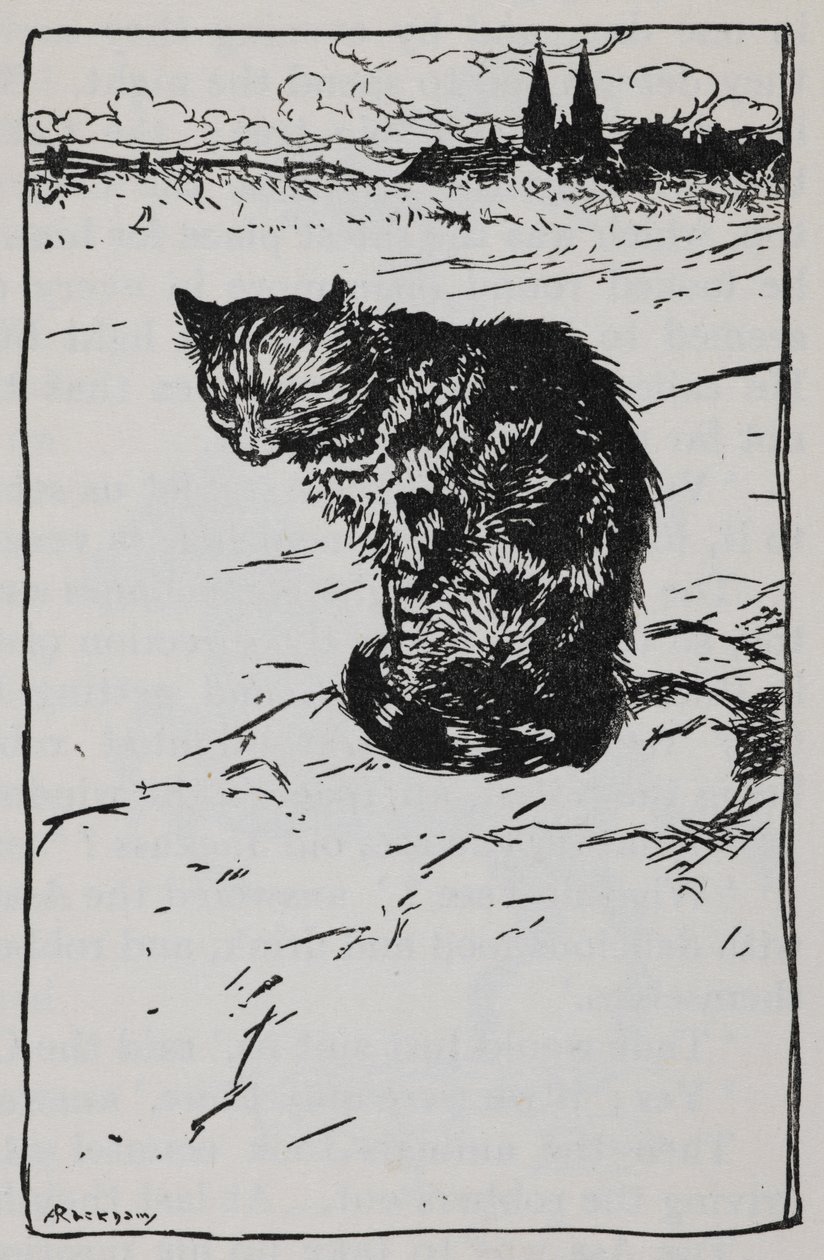 Illustration of a cat from The Bremen Town Musicians by Arthur Rackham