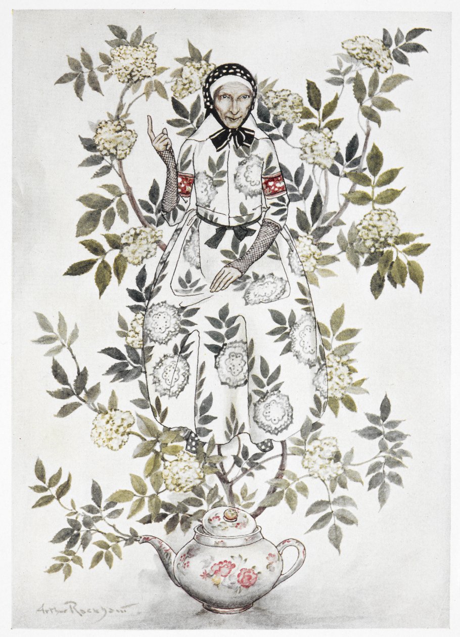 In the Midst of a Tree Sat a Kindly Looking Woman by Arthur Rackham