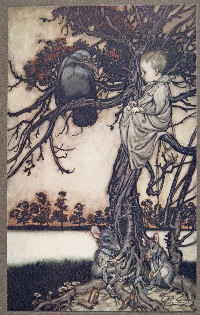 Put His Strange Case Before Old Solomon Caw, from Peter Pan in Kensington Gardens by J. M. Barrie, pub. 1906 by Arthur Rackham