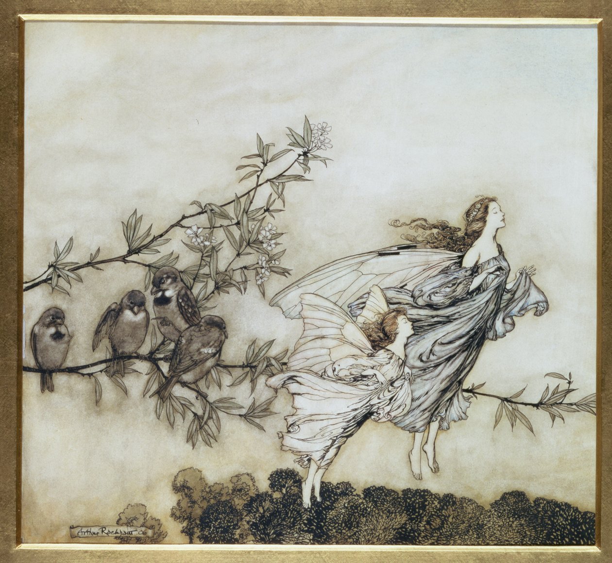 The Fairies have their Tiff with the Birds, 1906 illustration for Peter Pan in Kensington Gardens by J.M. Barrie, pub. 1906 by Arthur Rackham