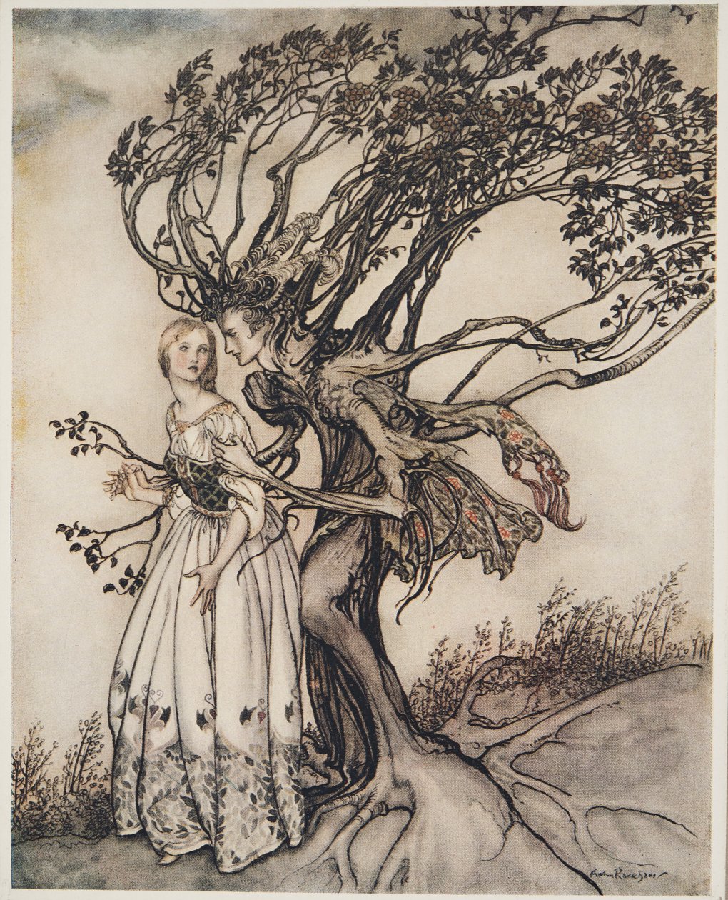 The Old Woman in the Wood, from Little Brother & Little Sister and Other Tales by the Brothers Grimm, pub.1917  by Arthur Rackham