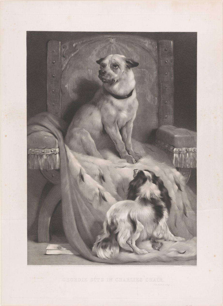Dog on an Ermine Mantle on a Throne by Arthur Turrell