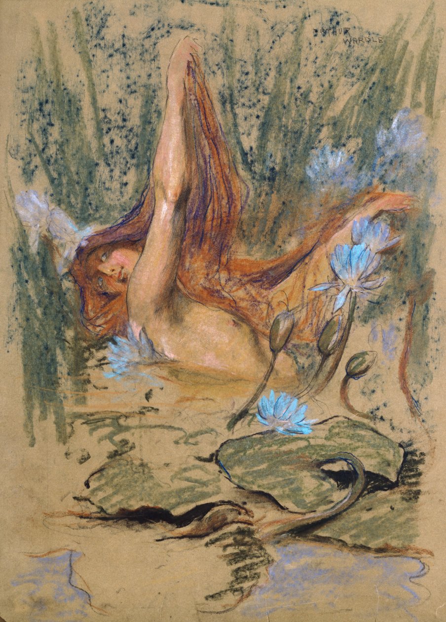 Nymphea, c.1890 by Arthur Wardle