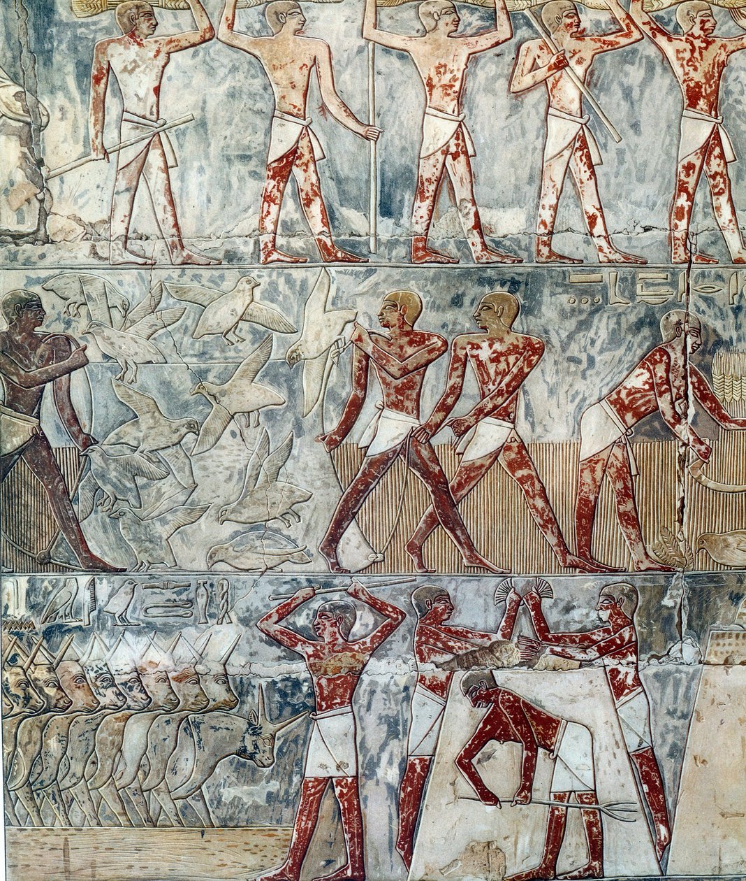 Art Egypt: Agricultural Scene, 6th Dynasty by Artist Unknown