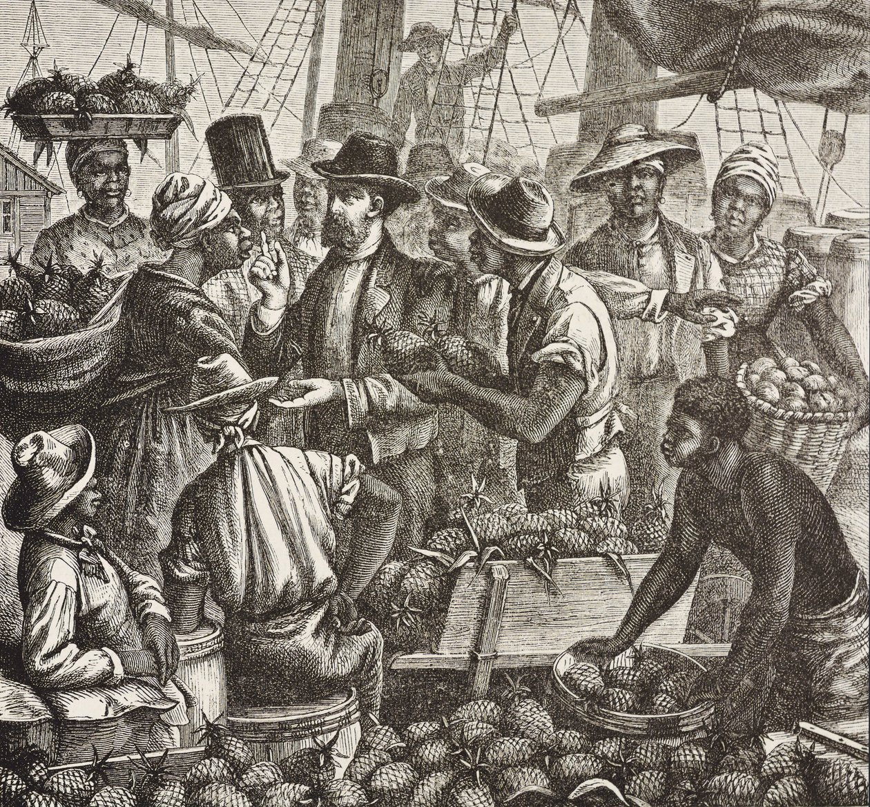 History of England (C19th). Colonization (1880). Bahama selling pineapples. English colony in New Providence Island. Pineapples were one of the products for export from the port of Nassau, most important. Engraving. Private Collection by Artist Unknown