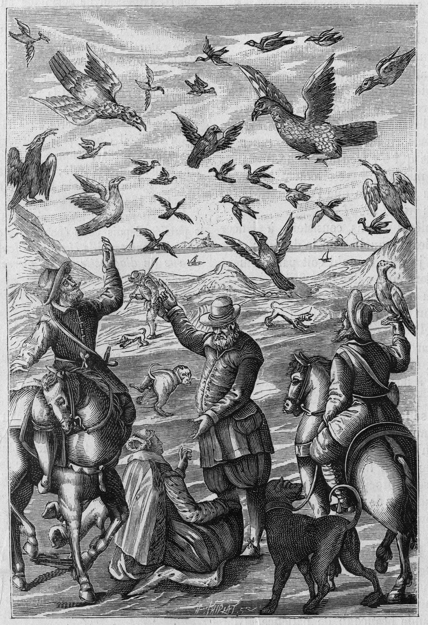 Illustration for 