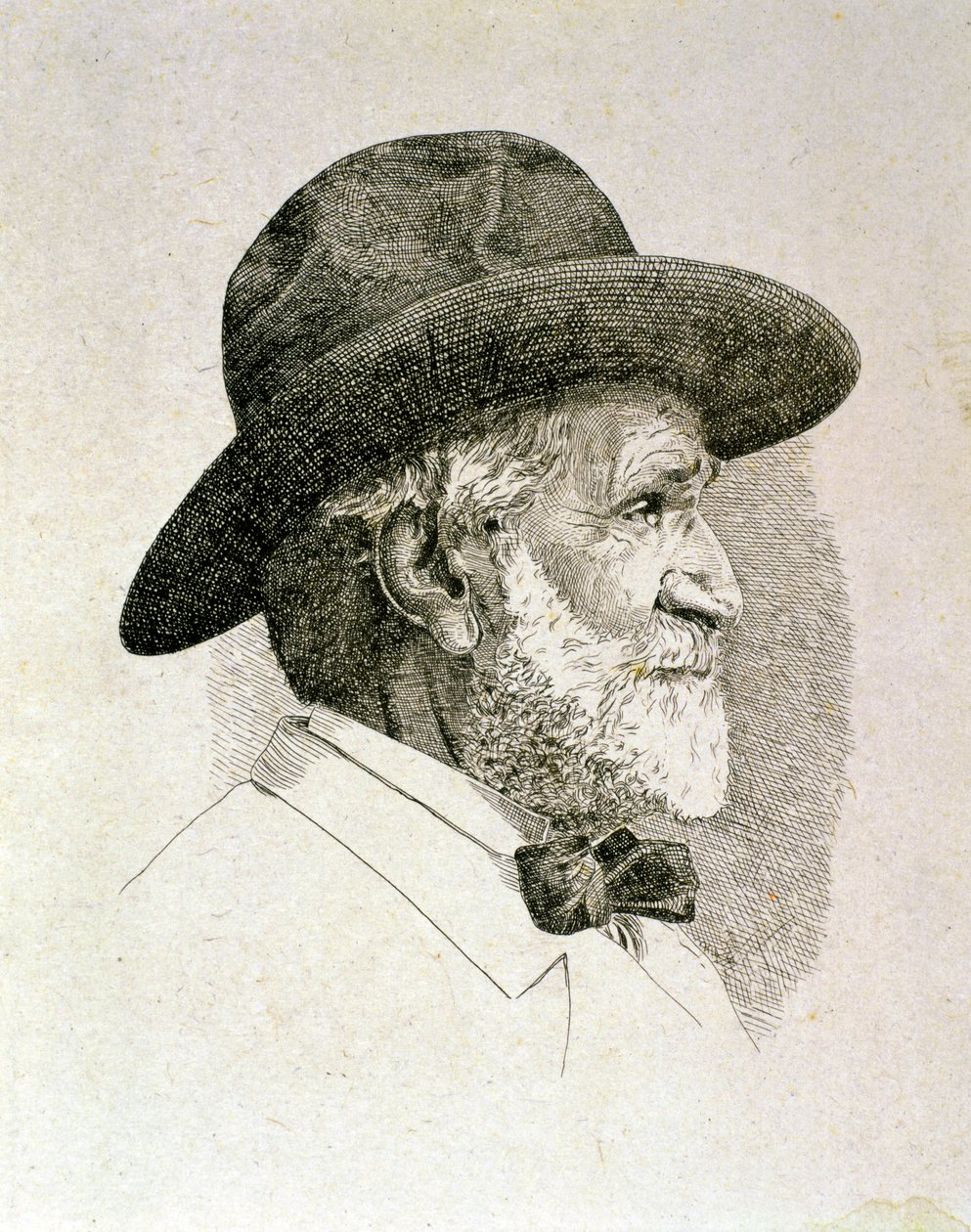 Portrait of Giuseppe Fortunino Francesco Verdi by Artist Unknown
