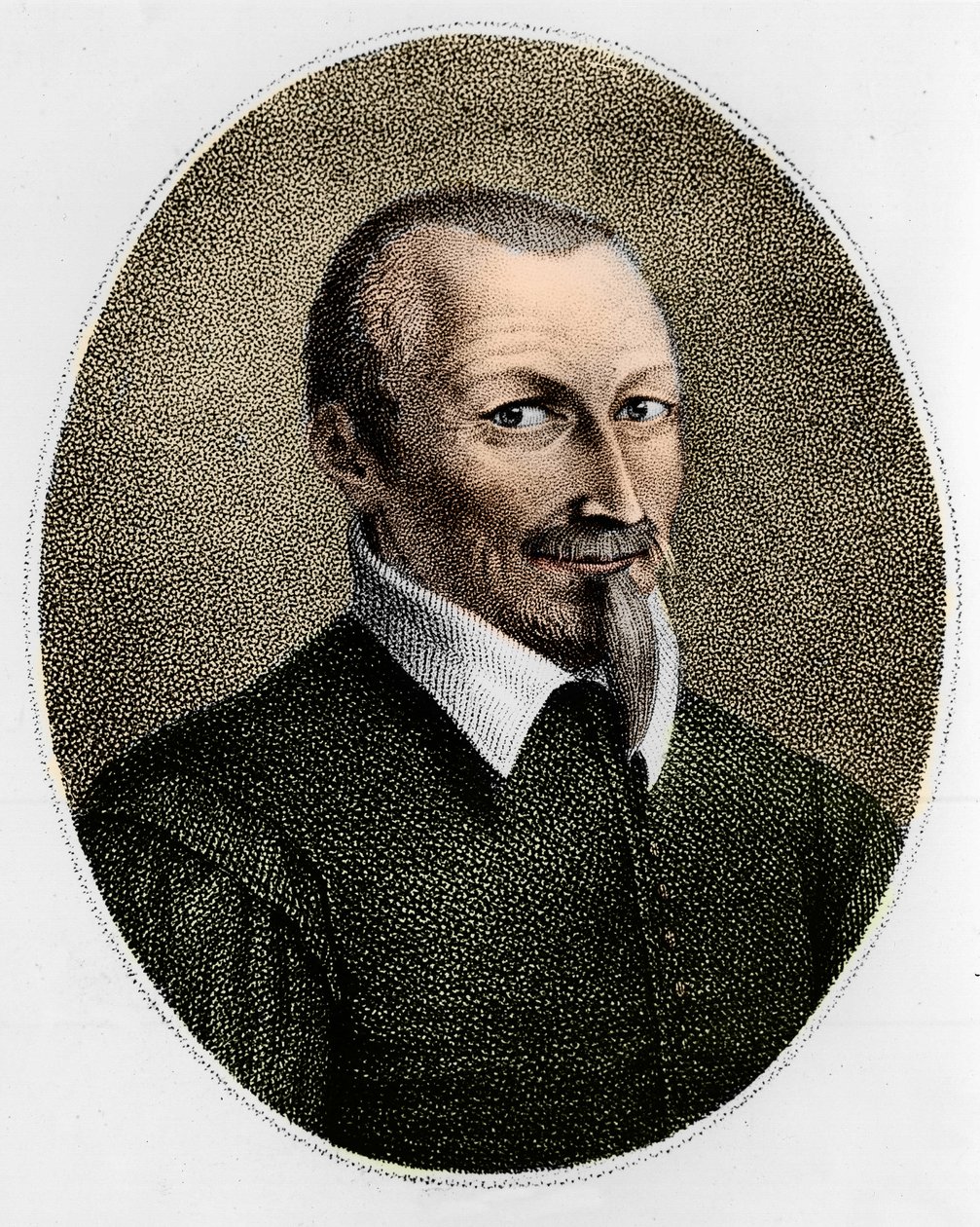 Portrait of Olivier De Serres, French agronomist by Artist Unknown