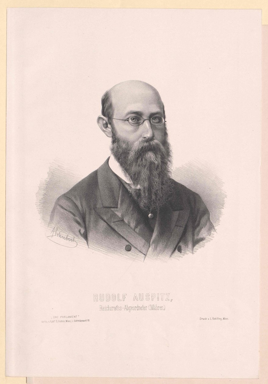 Rudolf Auspitz by Artist Unknown