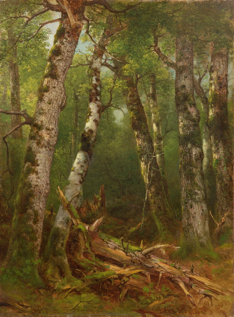 Group of Trees by Asher Brown Durand