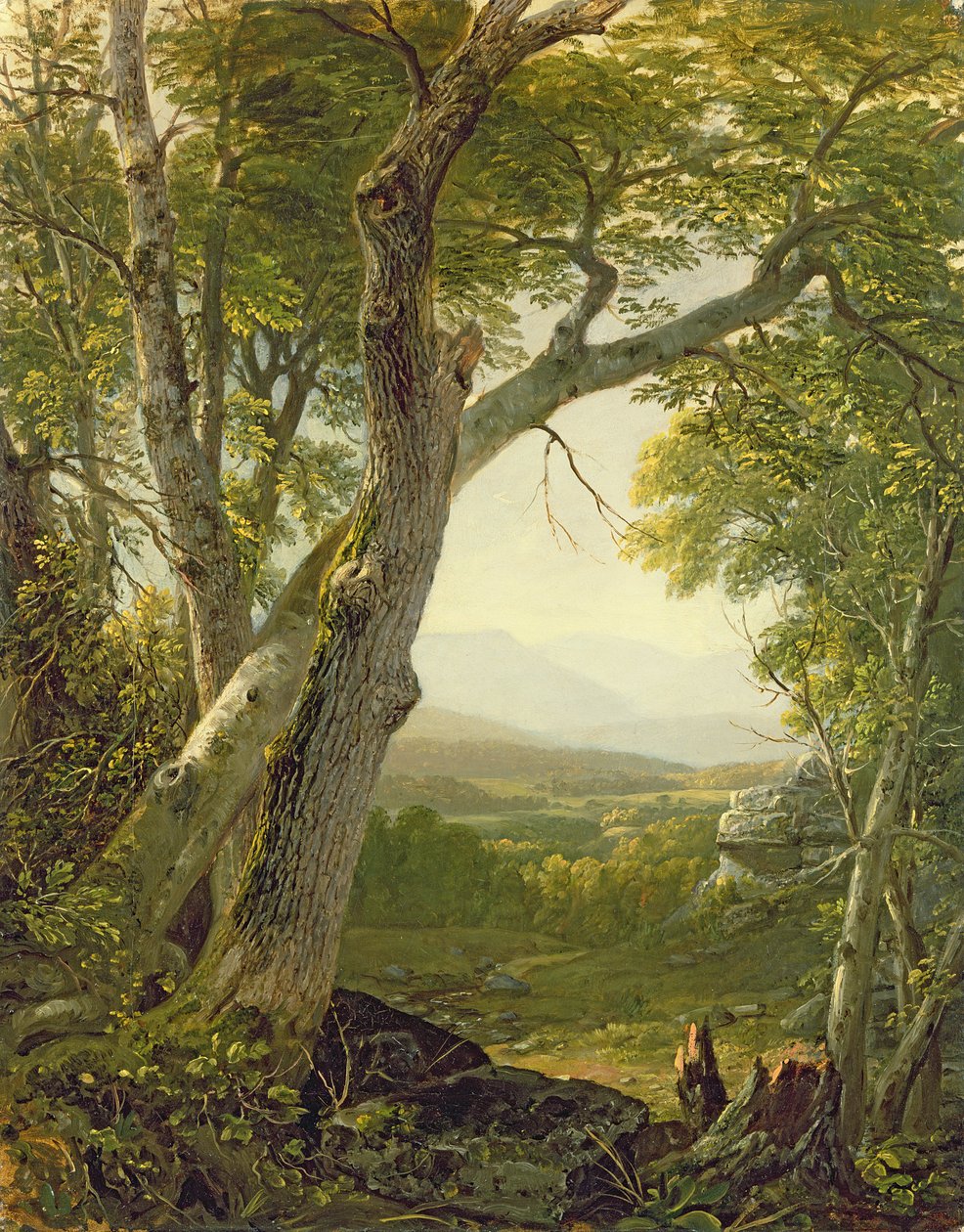 Shandaken Ridge, Kingston, New York, c. 1854
