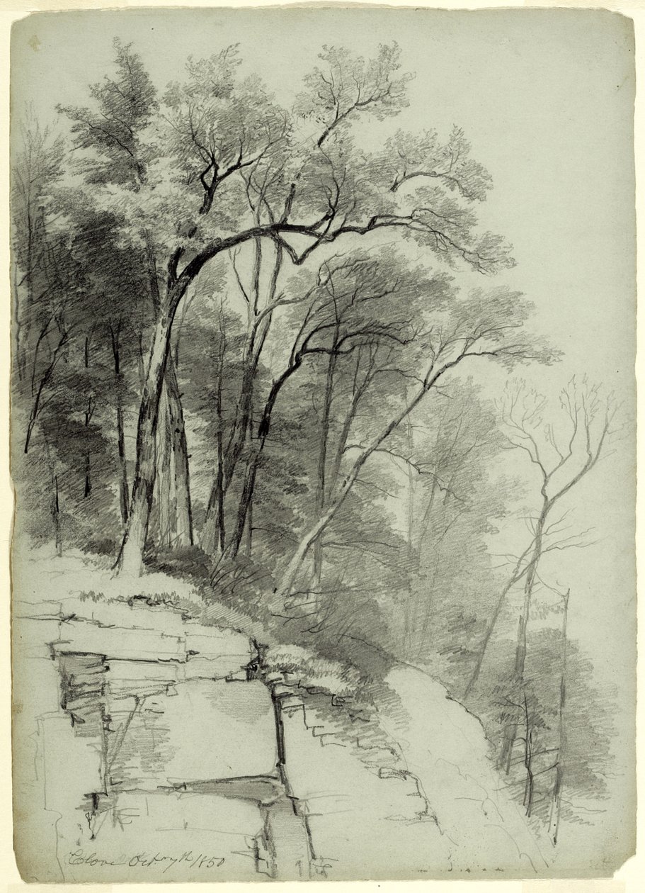 Study of Trees and Rocks, Catskill Clove, New York by Asher Brown Durand