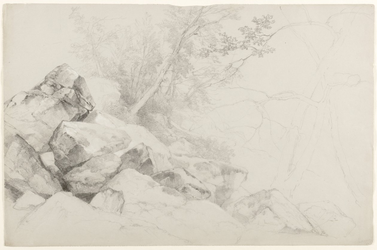 Study of Rocks with Trees, Hague, Lake George, New York by Asher Brown Durand
