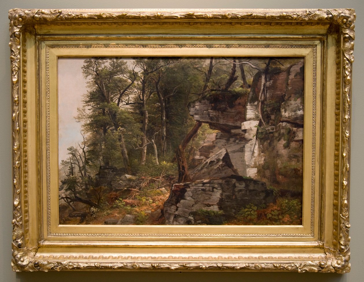 Trees on a Rocky Hillside by Asher Brown Durand