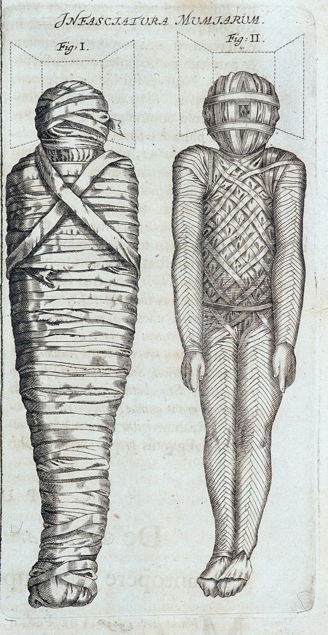Mummies - in 