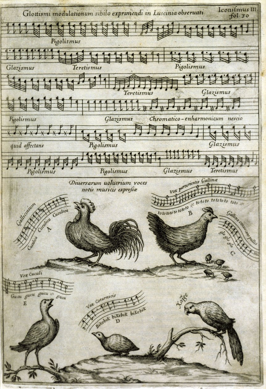 The Song Emitted by Certain Birds Expressed by Musical Notes (from 