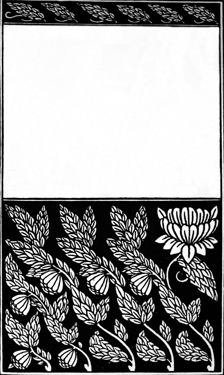 Design for Cover of Nobody
