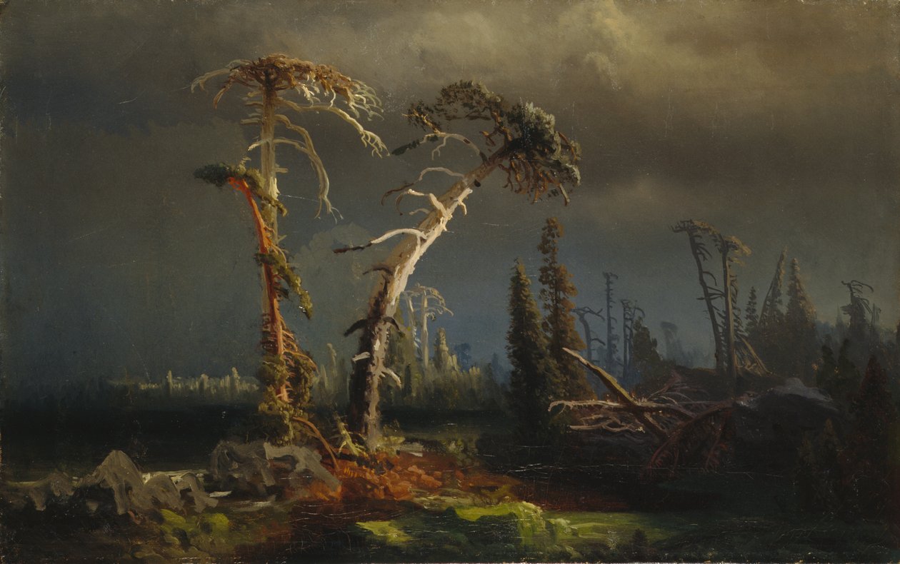 Gathering Storm - Dying Primeval Forest in Storm by August Cappelen