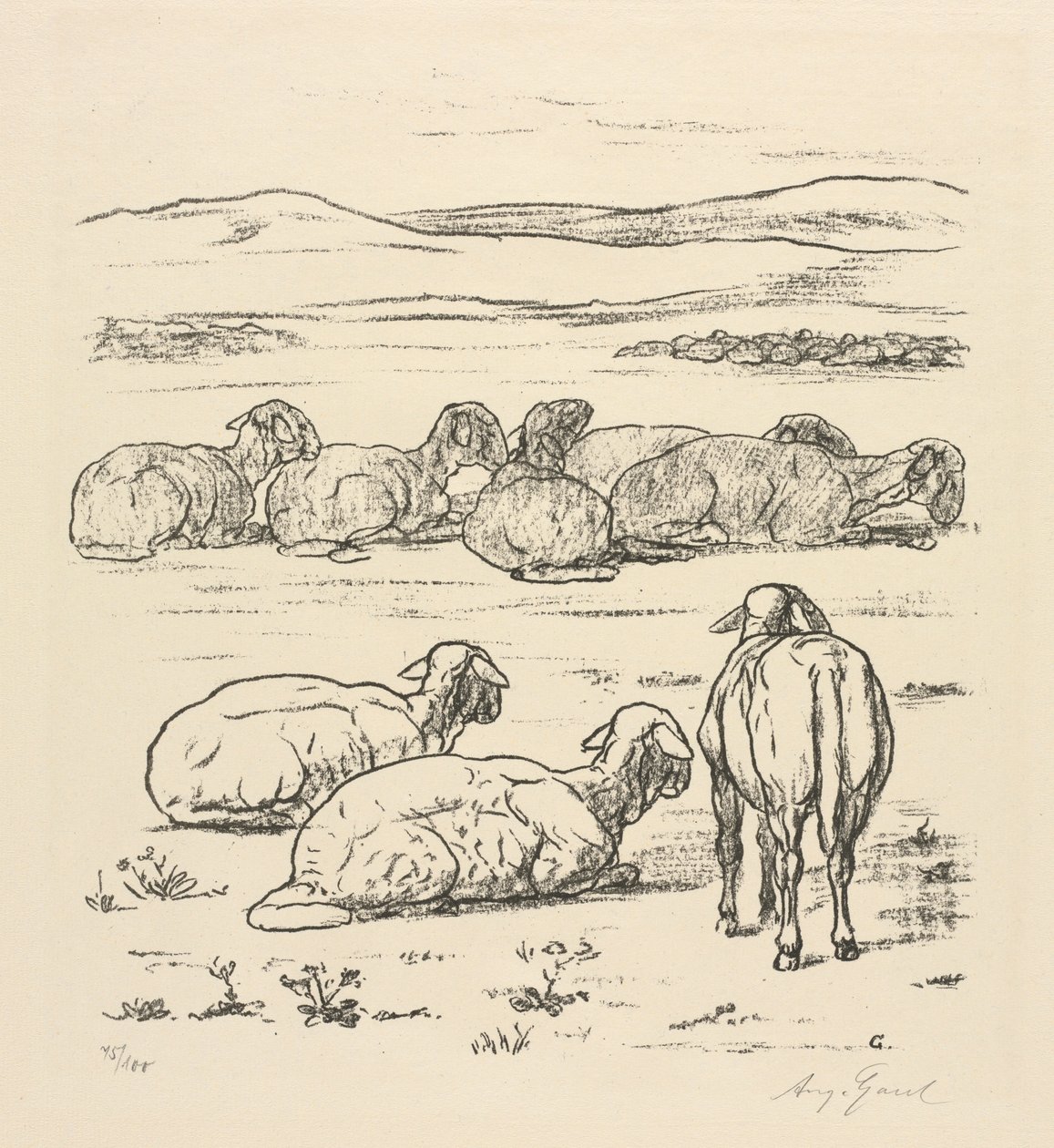 Sheep by August Gaul