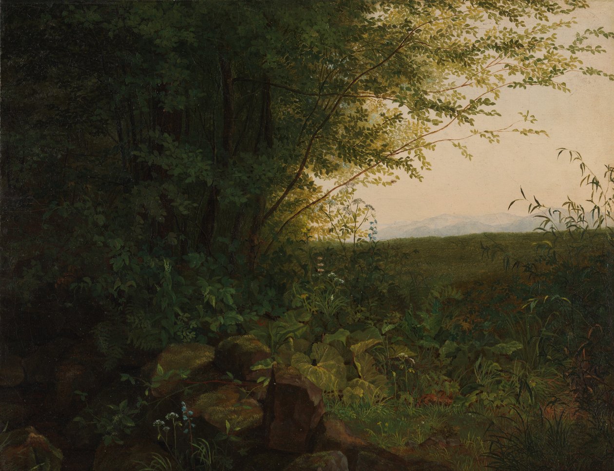 At the Edge of the Forest by August Heinrich