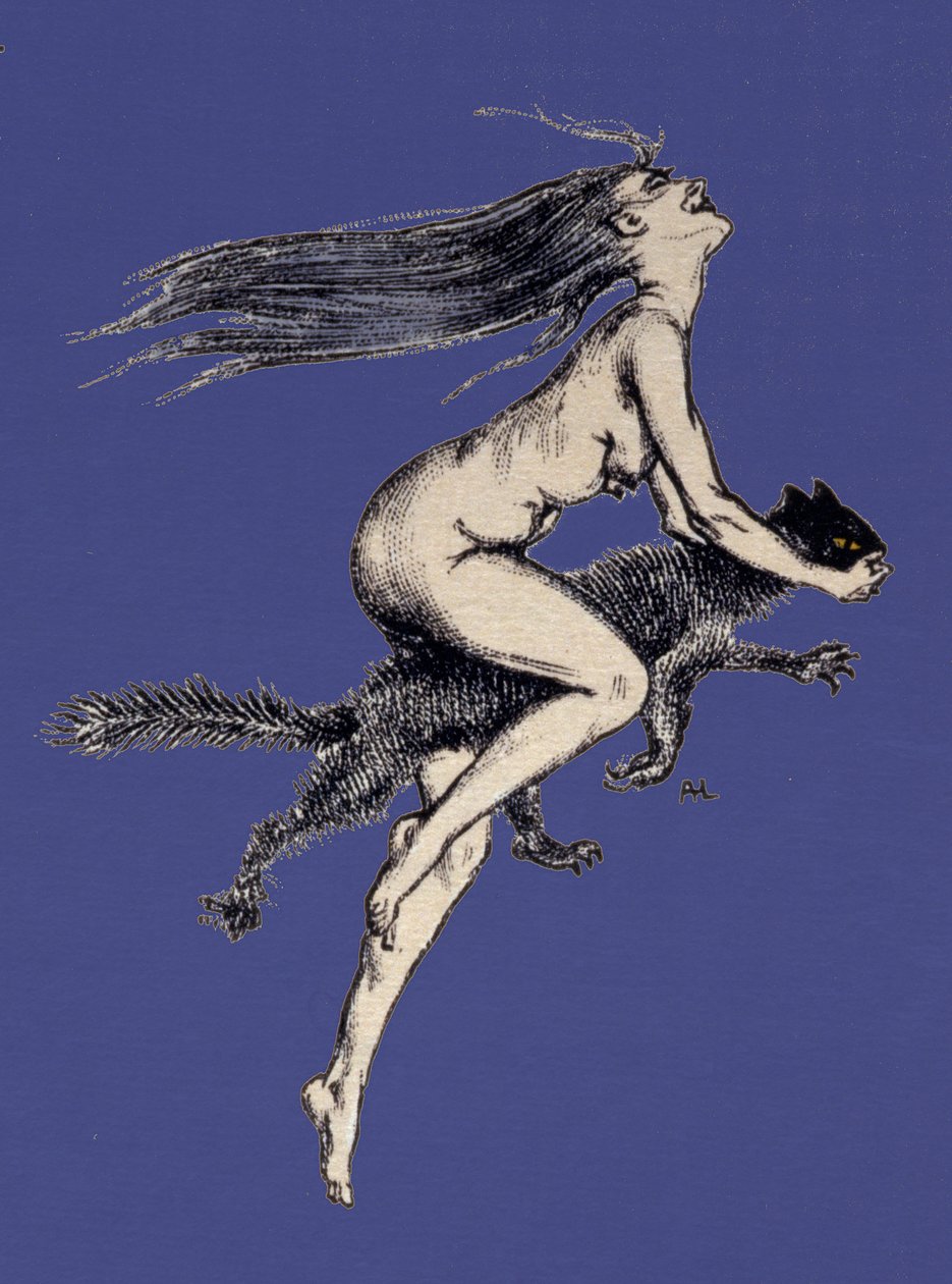 Illustration from 