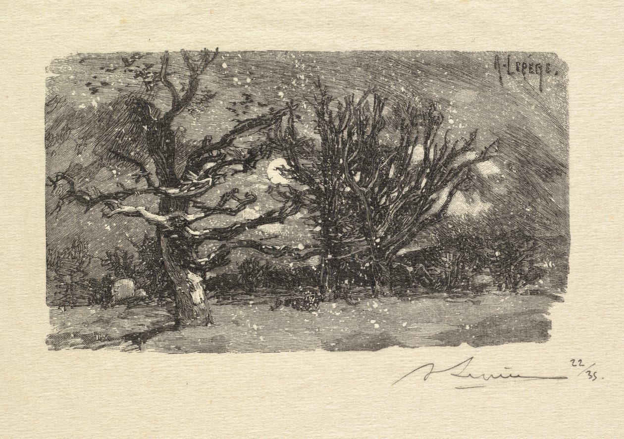 Fontainebleau Forest: Au dormoir de Lantara by Auguste Louis Lepère