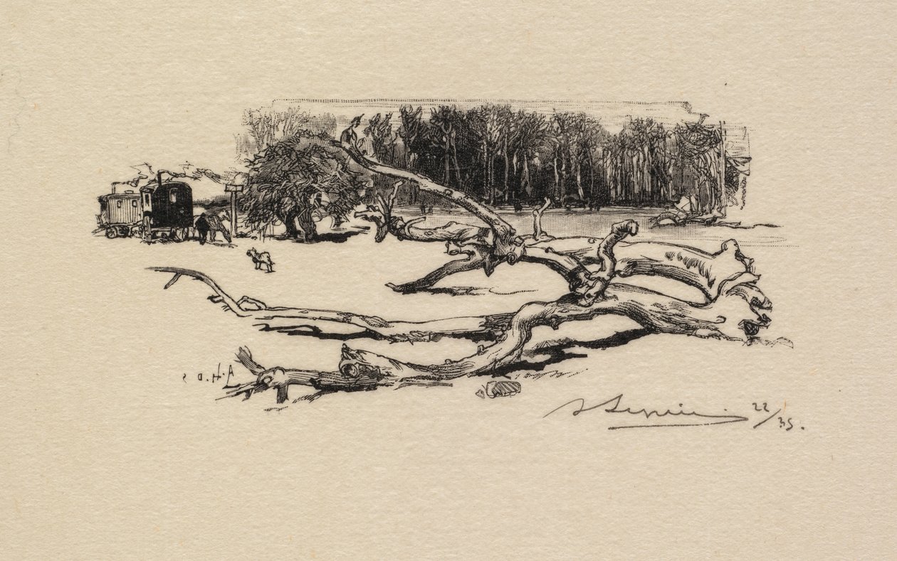 Fontainebleau Forest: Carrefour de l