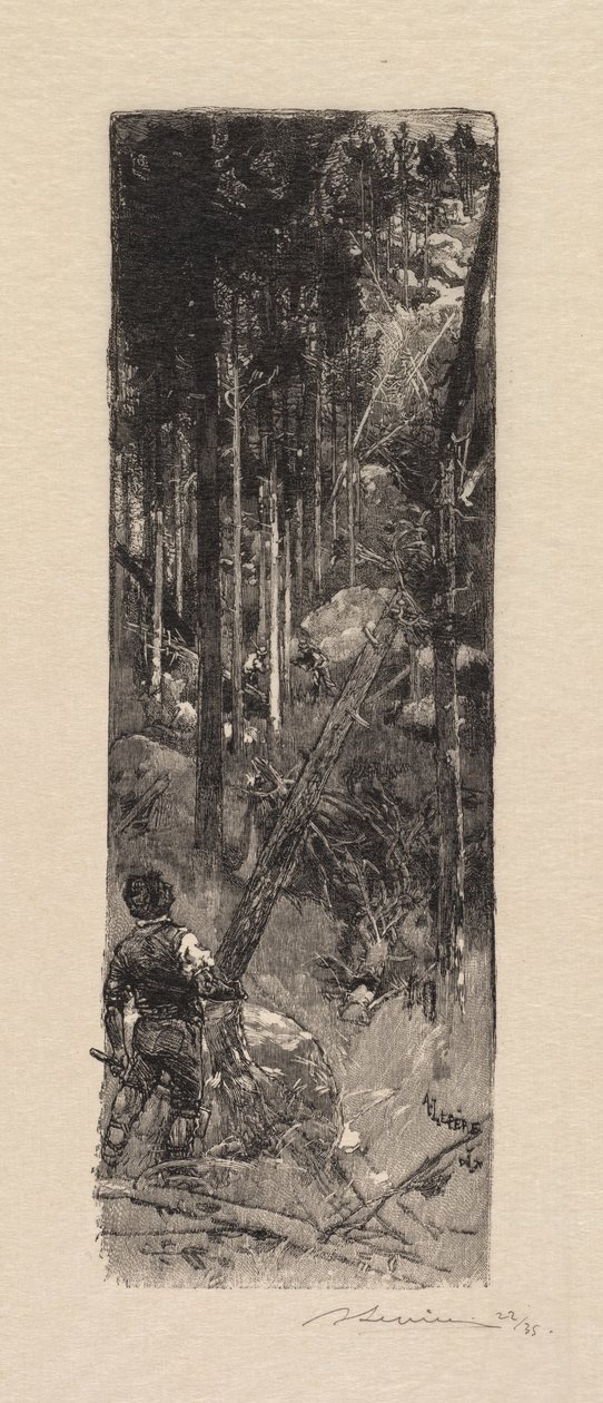 Fontainebleau Forest: Cutting of Pines, 1890 by Auguste Louis Lepère