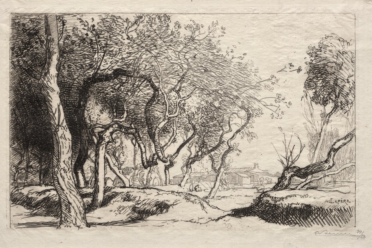 The Twisted Tree by Auguste Louis Lepère