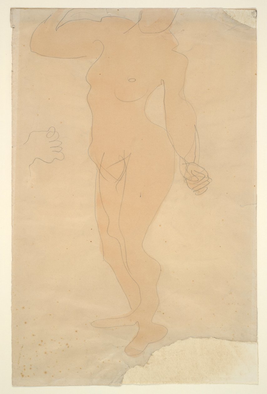 Standing Nude (head partially cut off by edge of paper) by Auguste Rodin