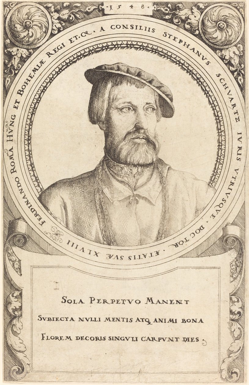 Doctor Stephen Schwartz by Augustin Hirschvogel